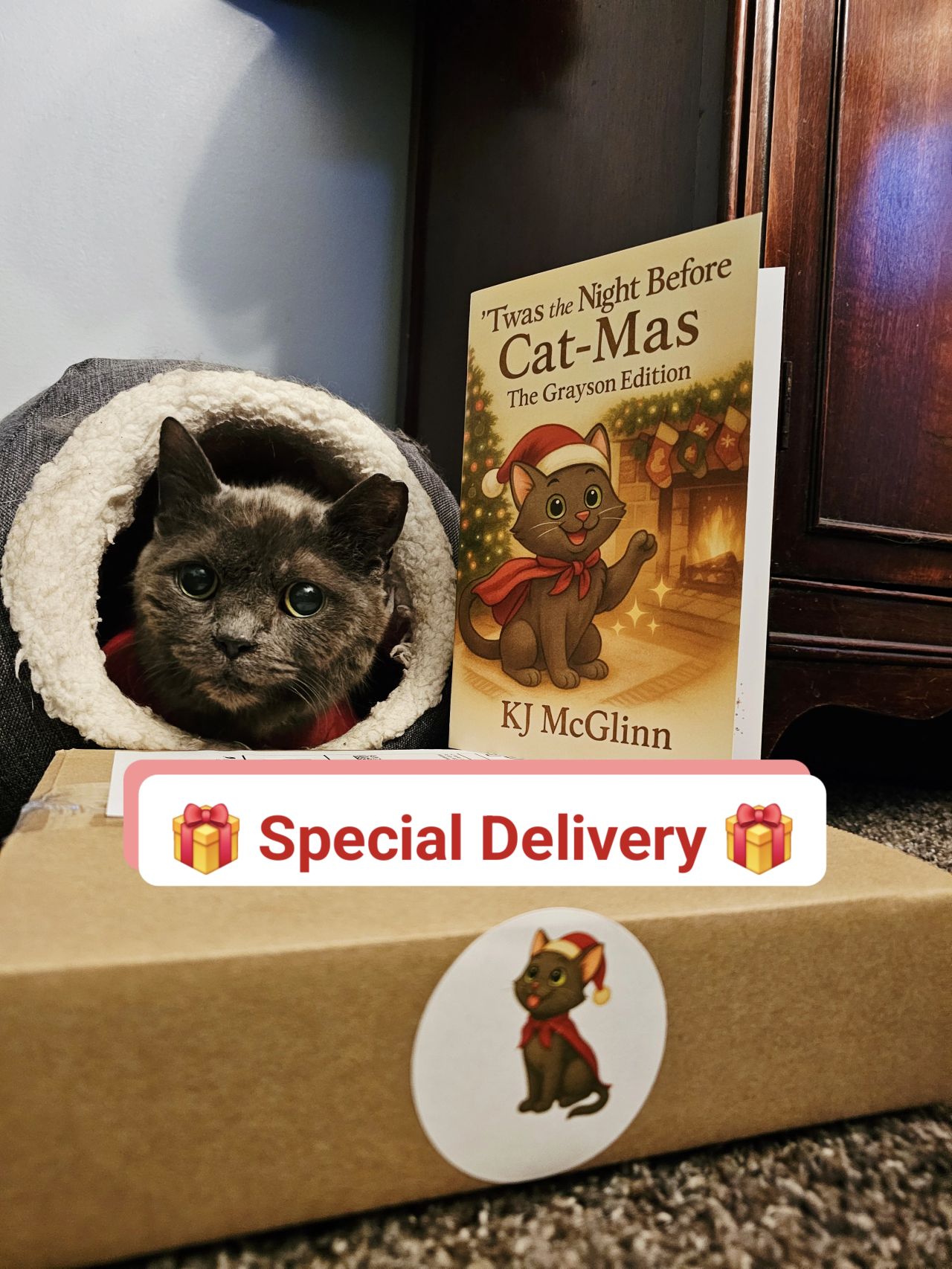 Twas the Night Before Cat-Mas